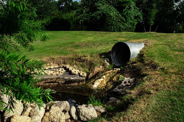 Praktyczne porady na temat instalacji podziemnego zbiornika na wodę deszczową w domowym ogrodzie