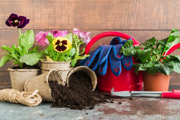 Jak prawidłowo pielęgnować i dbać o swoje rośliny w ogrodzie